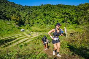 BIB: 1305
                            <button type="button" onclick="openModal(19352096)" class="btn btn-primary btn-sm float-right btn-popup" data-toggle="modal" data-target=".modal-high-quality">
                        <i class="fas fa-shopping-cart"></i> Add to Cart
                    </button>
                                            <button type="button" onclick="isThisMe(19352096, true)" class="btn btn-success btn-sm float-right btn-popup btn-isme hidden" data-toggle="tooltip" data-placement="bottom" title="นี่คือรูปของคุณใช่ไหม คลิกที่นี่เพื่อเอาเข้าอัลบั้ม">
                        <i class="fas fa-plus"></i> Add to album
                    </button>
                    <button type="button" onclick="isThisMe(19352096, false)" class="btn btn-warning btn-sm float-right btn-popup btn-isnotme hidden">
                        <i class="fas fa-ban"></i> Remove from album
                    </button>