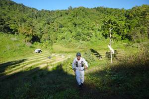 BIB: 
                            <button type="button" onclick="openModal(19086017)" class="btn btn-primary btn-sm float-right btn-popup" data-toggle="modal" data-target=".modal-high-quality">
                        <i class="fas fa-shopping-cart"></i> Add to Cart
                    </button>
                                            <button type="button" onclick="isThisMe(19086017, true)" class="btn btn-success btn-sm float-right btn-popup btn-isme hidden" data-toggle="tooltip" data-placement="bottom" title="นี่คือรูปของคุณใช่ไหม คลิกที่นี่เพื่อเอาเข้าอัลบั้ม">
                        <i class="fas fa-plus"></i> Add to album
                    </button>
                    <button type="button" onclick="isThisMe(19086017, false)" class="btn btn-warning btn-sm float-right btn-popup btn-isnotme hidden">
                        <i class="fas fa-ban"></i> Remove from album
                    </button>