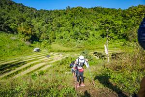 BIB: 
                            <button type="button" onclick="openModal(19351419)" class="btn btn-primary btn-sm float-right btn-popup" data-toggle="modal" data-target=".modal-high-quality">
                        <i class="fas fa-shopping-cart"></i> Add to Cart
                    </button>
                                            <button type="button" onclick="isThisMe(19351419, true)" class="btn btn-success btn-sm float-right btn-popup btn-isme hidden" data-toggle="tooltip" data-placement="bottom" title="นี่คือรูปของคุณใช่ไหม คลิกที่นี่เพื่อเอาเข้าอัลบั้ม">
                        <i class="fas fa-plus"></i> Add to album
                    </button>
                    <button type="button" onclick="isThisMe(19351419, false)" class="btn btn-warning btn-sm float-right btn-popup btn-isnotme hidden">
                        <i class="fas fa-ban"></i> Remove from album
                    </button>