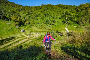 BIB: 
                            <button type="button" onclick="openModal(19350470)" class="btn btn-primary btn-sm float-right btn-popup" data-toggle="modal" data-target=".modal-high-quality">
                        <i class="fas fa-shopping-cart"></i> Add to Cart
                    </button>
                                            <button type="button" onclick="isThisMe(19350470, true)" class="btn btn-success btn-sm float-right btn-popup btn-isme hidden" data-toggle="tooltip" data-placement="bottom" title="นี่คือรูปของคุณใช่ไหม คลิกที่นี่เพื่อเอาเข้าอัลบั้ม">
                        <i class="fas fa-plus"></i> Add to album
                    </button>
                    <button type="button" onclick="isThisMe(19350470, false)" class="btn btn-warning btn-sm float-right btn-popup btn-isnotme hidden">
                        <i class="fas fa-ban"></i> Remove from album
                    </button>