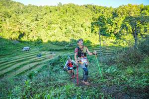 BIB: 
                            <button type="button" onclick="openModal(19347170)" class="btn btn-primary btn-sm float-right btn-popup" data-toggle="modal" data-target=".modal-high-quality">
                        <i class="fas fa-shopping-cart"></i> Add to Cart
                    </button>
                                            <button type="button" onclick="isThisMe(19347170, true)" class="btn btn-success btn-sm float-right btn-popup btn-isme hidden" data-toggle="tooltip" data-placement="bottom" title="นี่คือรูปของคุณใช่ไหม คลิกที่นี่เพื่อเอาเข้าอัลบั้ม">
                        <i class="fas fa-plus"></i> Add to album
                    </button>
                    <button type="button" onclick="isThisMe(19347170, false)" class="btn btn-warning btn-sm float-right btn-popup btn-isnotme hidden">
                        <i class="fas fa-ban"></i> Remove from album
                    </button>