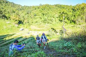 BIB: 
                            <button type="button" onclick="openModal(19348978)" class="btn btn-primary btn-sm float-right btn-popup" data-toggle="modal" data-target=".modal-high-quality">
                        <i class="fas fa-shopping-cart"></i> Add to Cart
                    </button>
                                            <button type="button" onclick="isThisMe(19348978, true)" class="btn btn-success btn-sm float-right btn-popup btn-isme hidden" data-toggle="tooltip" data-placement="bottom" title="นี่คือรูปของคุณใช่ไหม คลิกที่นี่เพื่อเอาเข้าอัลบั้ม">
                        <i class="fas fa-plus"></i> Add to album
                    </button>
                    <button type="button" onclick="isThisMe(19348978, false)" class="btn btn-warning btn-sm float-right btn-popup btn-isnotme hidden">
                        <i class="fas fa-ban"></i> Remove from album
                    </button>