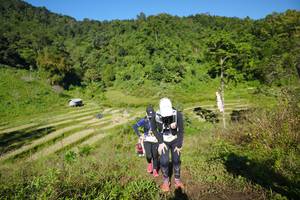 BIB: 
                            <button type="button" onclick="openModal(19106939)" class="btn btn-primary btn-sm float-right btn-popup" data-toggle="modal" data-target=".modal-high-quality">
                        <i class="fas fa-shopping-cart"></i> Add to Cart
                    </button>
                                            <button type="button" onclick="isThisMe(19106939, true)" class="btn btn-success btn-sm float-right btn-popup btn-isme hidden" data-toggle="tooltip" data-placement="bottom" title="นี่คือรูปของคุณใช่ไหม คลิกที่นี่เพื่อเอาเข้าอัลบั้ม">
                        <i class="fas fa-plus"></i> Add to album
                    </button>
                    <button type="button" onclick="isThisMe(19106939, false)" class="btn btn-warning btn-sm float-right btn-popup btn-isnotme hidden">
                        <i class="fas fa-ban"></i> Remove from album
                    </button>