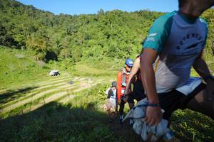 BIB: 1598
                            <button type="button" onclick="openModal(19090441)" class="btn btn-primary btn-sm float-right btn-popup" data-toggle="modal" data-target=".modal-high-quality">
                        <i class="fas fa-shopping-cart"></i> Add to Cart
                    </button>
                                            <button type="button" onclick="isThisMe(19090441, true)" class="btn btn-success btn-sm float-right btn-popup btn-isme hidden" data-toggle="tooltip" data-placement="bottom" title="นี่คือรูปของคุณใช่ไหม คลิกที่นี่เพื่อเอาเข้าอัลบั้ม">
                        <i class="fas fa-plus"></i> Add to album
                    </button>
                    <button type="button" onclick="isThisMe(19090441, false)" class="btn btn-warning btn-sm float-right btn-popup btn-isnotme hidden">
                        <i class="fas fa-ban"></i> Remove from album
                    </button>