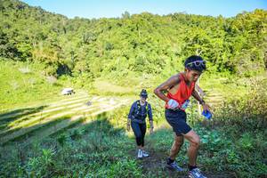 BIB: 
                            <button type="button" onclick="openModal(19349184)" class="btn btn-primary btn-sm float-right btn-popup" data-toggle="modal" data-target=".modal-high-quality">
                        <i class="fas fa-shopping-cart"></i> Add to Cart
                    </button>
                                            <button type="button" onclick="isThisMe(19349184, true)" class="btn btn-success btn-sm float-right btn-popup btn-isme hidden" data-toggle="tooltip" data-placement="bottom" title="นี่คือรูปของคุณใช่ไหม คลิกที่นี่เพื่อเอาเข้าอัลบั้ม">
                        <i class="fas fa-plus"></i> Add to album
                    </button>
                    <button type="button" onclick="isThisMe(19349184, false)" class="btn btn-warning btn-sm float-right btn-popup btn-isnotme hidden">
                        <i class="fas fa-ban"></i> Remove from album
                    </button>