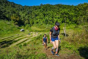 BIB: 
                            <button type="button" onclick="openModal(19344668)" class="btn btn-primary btn-sm float-right btn-popup" data-toggle="modal" data-target=".modal-high-quality">
                        <i class="fas fa-shopping-cart"></i> Add to Cart
                    </button>
                                            <button type="button" onclick="isThisMe(19344668, true)" class="btn btn-success btn-sm float-right btn-popup btn-isme hidden" data-toggle="tooltip" data-placement="bottom" title="นี่คือรูปของคุณใช่ไหม คลิกที่นี่เพื่อเอาเข้าอัลบั้ม">
                        <i class="fas fa-plus"></i> Add to album
                    </button>
                    <button type="button" onclick="isThisMe(19344668, false)" class="btn btn-warning btn-sm float-right btn-popup btn-isnotme hidden">
                        <i class="fas fa-ban"></i> Remove from album
                    </button>