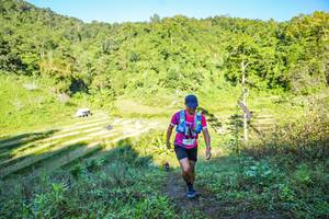 BIB: 
                            <button type="button" onclick="openModal(19349133)" class="btn btn-primary btn-sm float-right btn-popup" data-toggle="modal" data-target=".modal-high-quality">
                        <i class="fas fa-shopping-cart"></i> Add to Cart
                    </button>
                                            <button type="button" onclick="isThisMe(19349133, true)" class="btn btn-success btn-sm float-right btn-popup btn-isme hidden" data-toggle="tooltip" data-placement="bottom" title="นี่คือรูปของคุณใช่ไหม คลิกที่นี่เพื่อเอาเข้าอัลบั้ม">
                        <i class="fas fa-plus"></i> Add to album
                    </button>
                    <button type="button" onclick="isThisMe(19349133, false)" class="btn btn-warning btn-sm float-right btn-popup btn-isnotme hidden">
                        <i class="fas fa-ban"></i> Remove from album
                    </button>