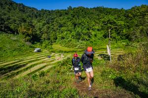 BIB: 
                            <button type="button" onclick="openModal(19352696)" class="btn btn-primary btn-sm float-right btn-popup" data-toggle="modal" data-target=".modal-high-quality">
                        <i class="fas fa-shopping-cart"></i> Add to Cart
                    </button>
                                            <button type="button" onclick="isThisMe(19352696, true)" class="btn btn-success btn-sm float-right btn-popup btn-isme hidden" data-toggle="tooltip" data-placement="bottom" title="นี่คือรูปของคุณใช่ไหม คลิกที่นี่เพื่อเอาเข้าอัลบั้ม">
                        <i class="fas fa-plus"></i> Add to album
                    </button>
                    <button type="button" onclick="isThisMe(19352696, false)" class="btn btn-warning btn-sm float-right btn-popup btn-isnotme hidden">
                        <i class="fas fa-ban"></i> Remove from album
                    </button>