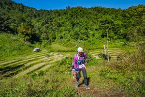 BIB: 
                            <button type="button" onclick="openModal(19344197)" class="btn btn-primary btn-sm float-right btn-popup" data-toggle="modal" data-target=".modal-high-quality">
                        <i class="fas fa-shopping-cart"></i> Add to Cart
                    </button>
                                            <button type="button" onclick="isThisMe(19344197, true)" class="btn btn-success btn-sm float-right btn-popup btn-isme hidden" data-toggle="tooltip" data-placement="bottom" title="นี่คือรูปของคุณใช่ไหม คลิกที่นี่เพื่อเอาเข้าอัลบั้ม">
                        <i class="fas fa-plus"></i> Add to album
                    </button>
                    <button type="button" onclick="isThisMe(19344197, false)" class="btn btn-warning btn-sm float-right btn-popup btn-isnotme hidden">
                        <i class="fas fa-ban"></i> Remove from album
                    </button>