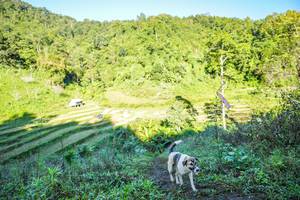 BIB: 
                            <button type="button" onclick="openModal(19348623)" class="btn btn-primary btn-sm float-right btn-popup" data-toggle="modal" data-target=".modal-high-quality">
                        <i class="fas fa-shopping-cart"></i> Add to Cart
                    </button>
                                            <button type="button" onclick="isThisMe(19348623, true)" class="btn btn-success btn-sm float-right btn-popup btn-isme hidden" data-toggle="tooltip" data-placement="bottom" title="นี่คือรูปของคุณใช่ไหม คลิกที่นี่เพื่อเอาเข้าอัลบั้ม">
                        <i class="fas fa-plus"></i> Add to album
                    </button>
                    <button type="button" onclick="isThisMe(19348623, false)" class="btn btn-warning btn-sm float-right btn-popup btn-isnotme hidden">
                        <i class="fas fa-ban"></i> Remove from album
                    </button>