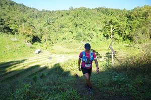 BIB: 
                            <button type="button" onclick="openModal(19083958)" class="btn btn-primary btn-sm float-right btn-popup" data-toggle="modal" data-target=".modal-high-quality">
                        <i class="fas fa-shopping-cart"></i> Add to Cart
                    </button>
                                            <button type="button" onclick="isThisMe(19083958, true)" class="btn btn-success btn-sm float-right btn-popup btn-isme hidden" data-toggle="tooltip" data-placement="bottom" title="นี่คือรูปของคุณใช่ไหม คลิกที่นี่เพื่อเอาเข้าอัลบั้ม">
                        <i class="fas fa-plus"></i> Add to album
                    </button>
                    <button type="button" onclick="isThisMe(19083958, false)" class="btn btn-warning btn-sm float-right btn-popup btn-isnotme hidden">
                        <i class="fas fa-ban"></i> Remove from album
                    </button>