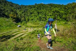 BIB: 
                            <button type="button" onclick="openModal(19344779)" class="btn btn-primary btn-sm float-right btn-popup" data-toggle="modal" data-target=".modal-high-quality">
                        <i class="fas fa-shopping-cart"></i> Add to Cart
                    </button>
                                            <button type="button" onclick="isThisMe(19344779, true)" class="btn btn-success btn-sm float-right btn-popup btn-isme hidden" data-toggle="tooltip" data-placement="bottom" title="นี่คือรูปของคุณใช่ไหม คลิกที่นี่เพื่อเอาเข้าอัลบั้ม">
                        <i class="fas fa-plus"></i> Add to album
                    </button>
                    <button type="button" onclick="isThisMe(19344779, false)" class="btn btn-warning btn-sm float-right btn-popup btn-isnotme hidden">
                        <i class="fas fa-ban"></i> Remove from album
                    </button>