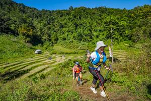 BIB: 
                            <button type="button" onclick="openModal(19345212)" class="btn btn-primary btn-sm float-right btn-popup" data-toggle="modal" data-target=".modal-high-quality">
                        <i class="fas fa-shopping-cart"></i> Add to Cart
                    </button>
                                            <button type="button" onclick="isThisMe(19345212, true)" class="btn btn-success btn-sm float-right btn-popup btn-isme hidden" data-toggle="tooltip" data-placement="bottom" title="นี่คือรูปของคุณใช่ไหม คลิกที่นี่เพื่อเอาเข้าอัลบั้ม">
                        <i class="fas fa-plus"></i> Add to album
                    </button>
                    <button type="button" onclick="isThisMe(19345212, false)" class="btn btn-warning btn-sm float-right btn-popup btn-isnotme hidden">
                        <i class="fas fa-ban"></i> Remove from album
                    </button>