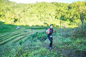 BIB: 
                            <button type="button" onclick="openModal(19347308)" class="btn btn-primary btn-sm float-right btn-popup" data-toggle="modal" data-target=".modal-high-quality">
                        <i class="fas fa-shopping-cart"></i> Add to Cart
                    </button>
                                            <button type="button" onclick="isThisMe(19347308, true)" class="btn btn-success btn-sm float-right btn-popup btn-isme hidden" data-toggle="tooltip" data-placement="bottom" title="นี่คือรูปของคุณใช่ไหม คลิกที่นี่เพื่อเอาเข้าอัลบั้ม">
                        <i class="fas fa-plus"></i> Add to album
                    </button>
                    <button type="button" onclick="isThisMe(19347308, false)" class="btn btn-warning btn-sm float-right btn-popup btn-isnotme hidden">
                        <i class="fas fa-ban"></i> Remove from album
                    </button>