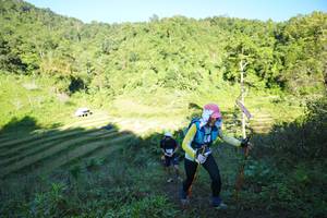 BIB: 
                            <button type="button" onclick="openModal(19076070)" class="btn btn-primary btn-sm float-right btn-popup" data-toggle="modal" data-target=".modal-high-quality">
                        <i class="fas fa-shopping-cart"></i> Add to Cart
                    </button>
                                            <button type="button" onclick="isThisMe(19076070, true)" class="btn btn-success btn-sm float-right btn-popup btn-isme hidden" data-toggle="tooltip" data-placement="bottom" title="นี่คือรูปของคุณใช่ไหม คลิกที่นี่เพื่อเอาเข้าอัลบั้ม">
                        <i class="fas fa-plus"></i> Add to album
                    </button>
                    <button type="button" onclick="isThisMe(19076070, false)" class="btn btn-warning btn-sm float-right btn-popup btn-isnotme hidden">
                        <i class="fas fa-ban"></i> Remove from album
                    </button>