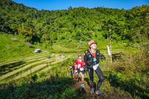 BIB: 
                            <button type="button" onclick="openModal(19350570)" class="btn btn-primary btn-sm float-right btn-popup" data-toggle="modal" data-target=".modal-high-quality">
                        <i class="fas fa-shopping-cart"></i> Add to Cart
                    </button>
                                            <button type="button" onclick="isThisMe(19350570, true)" class="btn btn-success btn-sm float-right btn-popup btn-isme hidden" data-toggle="tooltip" data-placement="bottom" title="นี่คือรูปของคุณใช่ไหม คลิกที่นี่เพื่อเอาเข้าอัลบั้ม">
                        <i class="fas fa-plus"></i> Add to album
                    </button>
                    <button type="button" onclick="isThisMe(19350570, false)" class="btn btn-warning btn-sm float-right btn-popup btn-isnotme hidden">
                        <i class="fas fa-ban"></i> Remove from album
                    </button>