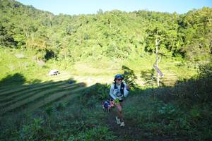 BIB: 
                            <button type="button" onclick="openModal(19074243)" class="btn btn-primary btn-sm float-right btn-popup" data-toggle="modal" data-target=".modal-high-quality">
                        <i class="fas fa-shopping-cart"></i> Add to Cart
                    </button>
                                            <button type="button" onclick="isThisMe(19074243, true)" class="btn btn-success btn-sm float-right btn-popup btn-isme hidden" data-toggle="tooltip" data-placement="bottom" title="นี่คือรูปของคุณใช่ไหม คลิกที่นี่เพื่อเอาเข้าอัลบั้ม">
                        <i class="fas fa-plus"></i> Add to album
                    </button>
                    <button type="button" onclick="isThisMe(19074243, false)" class="btn btn-warning btn-sm float-right btn-popup btn-isnotme hidden">
                        <i class="fas fa-ban"></i> Remove from album
                    </button>