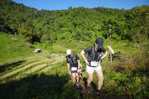 BIB: 
                            <button type="button" onclick="openModal(19093507)" class="btn btn-primary btn-sm float-right btn-popup" data-toggle="modal" data-target=".modal-high-quality">
                        <i class="fas fa-shopping-cart"></i> Add to Cart
                    </button>
                                            <button type="button" onclick="isThisMe(19093507, true)" class="btn btn-success btn-sm float-right btn-popup btn-isme hidden" data-toggle="tooltip" data-placement="bottom" title="นี่คือรูปของคุณใช่ไหม คลิกที่นี่เพื่อเอาเข้าอัลบั้ม">
                        <i class="fas fa-plus"></i> Add to album
                    </button>
                    <button type="button" onclick="isThisMe(19093507, false)" class="btn btn-warning btn-sm float-right btn-popup btn-isnotme hidden">
                        <i class="fas fa-ban"></i> Remove from album
                    </button>