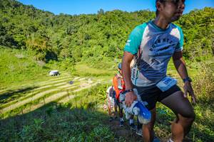 BIB: 1598
                            <button type="button" onclick="openModal(19349913)" class="btn btn-primary btn-sm float-right btn-popup" data-toggle="modal" data-target=".modal-high-quality">
                        <i class="fas fa-shopping-cart"></i> Add to Cart
                    </button>
                                            <button type="button" onclick="isThisMe(19349913, true)" class="btn btn-success btn-sm float-right btn-popup btn-isme hidden" data-toggle="tooltip" data-placement="bottom" title="นี่คือรูปของคุณใช่ไหม คลิกที่นี่เพื่อเอาเข้าอัลบั้ม">
                        <i class="fas fa-plus"></i> Add to album
                    </button>
                    <button type="button" onclick="isThisMe(19349913, false)" class="btn btn-warning btn-sm float-right btn-popup btn-isnotme hidden">
                        <i class="fas fa-ban"></i> Remove from album
                    </button>