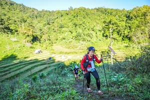 BIB: 
                            <button type="button" onclick="openModal(19348377)" class="btn btn-primary btn-sm float-right btn-popup" data-toggle="modal" data-target=".modal-high-quality">
                        <i class="fas fa-shopping-cart"></i> Add to Cart
                    </button>
                                            <button type="button" onclick="isThisMe(19348377, true)" class="btn btn-success btn-sm float-right btn-popup btn-isme hidden" data-toggle="tooltip" data-placement="bottom" title="นี่คือรูปของคุณใช่ไหม คลิกที่นี่เพื่อเอาเข้าอัลบั้ม">
                        <i class="fas fa-plus"></i> Add to album
                    </button>
                    <button type="button" onclick="isThisMe(19348377, false)" class="btn btn-warning btn-sm float-right btn-popup btn-isnotme hidden">
                        <i class="fas fa-ban"></i> Remove from album
                    </button>