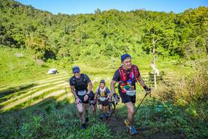 BIB: 2069
                            <button type="button" onclick="openModal(19349649)" class="btn btn-primary btn-sm float-right btn-popup" data-toggle="modal" data-target=".modal-high-quality">
                        <i class="fas fa-shopping-cart"></i> Add to Cart
                    </button>
                                            <button type="button" onclick="isThisMe(19349649, true)" class="btn btn-success btn-sm float-right btn-popup btn-isme hidden" data-toggle="tooltip" data-placement="bottom" title="นี่คือรูปของคุณใช่ไหม คลิกที่นี่เพื่อเอาเข้าอัลบั้ม">
                        <i class="fas fa-plus"></i> Add to album
                    </button>
                    <button type="button" onclick="isThisMe(19349649, false)" class="btn btn-warning btn-sm float-right btn-popup btn-isnotme hidden">
                        <i class="fas fa-ban"></i> Remove from album
                    </button>