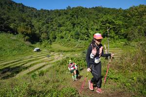 BIB: 
                            <button type="button" onclick="openModal(19095336)" class="btn btn-primary btn-sm float-right btn-popup" data-toggle="modal" data-target=".modal-high-quality">
                        <i class="fas fa-shopping-cart"></i> Add to Cart
                    </button>
                                            <button type="button" onclick="isThisMe(19095336, true)" class="btn btn-success btn-sm float-right btn-popup btn-isme hidden" data-toggle="tooltip" data-placement="bottom" title="นี่คือรูปของคุณใช่ไหม คลิกที่นี่เพื่อเอาเข้าอัลบั้ม">
                        <i class="fas fa-plus"></i> Add to album
                    </button>
                    <button type="button" onclick="isThisMe(19095336, false)" class="btn btn-warning btn-sm float-right btn-popup btn-isnotme hidden">
                        <i class="fas fa-ban"></i> Remove from album
                    </button>