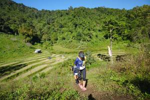 BIB: 
                            <button type="button" onclick="openModal(19072033)" class="btn btn-primary btn-sm float-right btn-popup" data-toggle="modal" data-target=".modal-high-quality">
                        <i class="fas fa-shopping-cart"></i> Add to Cart
                    </button>
                                            <button type="button" onclick="isThisMe(19072033, true)" class="btn btn-success btn-sm float-right btn-popup btn-isme hidden" data-toggle="tooltip" data-placement="bottom" title="นี่คือรูปของคุณใช่ไหม คลิกที่นี่เพื่อเอาเข้าอัลบั้ม">
                        <i class="fas fa-plus"></i> Add to album
                    </button>
                    <button type="button" onclick="isThisMe(19072033, false)" class="btn btn-warning btn-sm float-right btn-popup btn-isnotme hidden">
                        <i class="fas fa-ban"></i> Remove from album
                    </button>