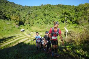 BIB: 2087
                            <button type="button" onclick="openModal(19090308)" class="btn btn-primary btn-sm float-right btn-popup" data-toggle="modal" data-target=".modal-high-quality">
                        <i class="fas fa-shopping-cart"></i> Add to Cart
                    </button>
                                            <button type="button" onclick="isThisMe(19090308, true)" class="btn btn-success btn-sm float-right btn-popup btn-isme hidden" data-toggle="tooltip" data-placement="bottom" title="นี่คือรูปของคุณใช่ไหม คลิกที่นี่เพื่อเอาเข้าอัลบั้ม">
                        <i class="fas fa-plus"></i> Add to album
                    </button>
                    <button type="button" onclick="isThisMe(19090308, false)" class="btn btn-warning btn-sm float-right btn-popup btn-isnotme hidden">
                        <i class="fas fa-ban"></i> Remove from album
                    </button>