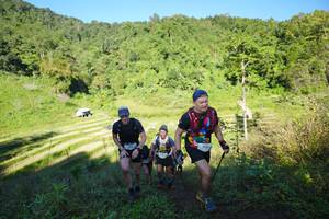 BIB: 
                            <button type="button" onclick="openModal(19087994)" class="btn btn-primary btn-sm float-right btn-popup" data-toggle="modal" data-target=".modal-high-quality">
                        <i class="fas fa-shopping-cart"></i> Add to Cart
                    </button>
                                            <button type="button" onclick="isThisMe(19087994, true)" class="btn btn-success btn-sm float-right btn-popup btn-isme hidden" data-toggle="tooltip" data-placement="bottom" title="นี่คือรูปของคุณใช่ไหม คลิกที่นี่เพื่อเอาเข้าอัลบั้ม">
                        <i class="fas fa-plus"></i> Add to album
                    </button>
                    <button type="button" onclick="isThisMe(19087994, false)" class="btn btn-warning btn-sm float-right btn-popup btn-isnotme hidden">
                        <i class="fas fa-ban"></i> Remove from album
                    </button>