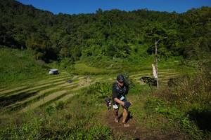 BIB: 
                            <button type="button" onclick="openModal(19084357)" class="btn btn-primary btn-sm float-right btn-popup" data-toggle="modal" data-target=".modal-high-quality">
                        <i class="fas fa-shopping-cart"></i> Add to Cart
                    </button>
                                            <button type="button" onclick="isThisMe(19084357, true)" class="btn btn-success btn-sm float-right btn-popup btn-isme hidden" data-toggle="tooltip" data-placement="bottom" title="นี่คือรูปของคุณใช่ไหม คลิกที่นี่เพื่อเอาเข้าอัลบั้ม">
                        <i class="fas fa-plus"></i> Add to album
                    </button>
                    <button type="button" onclick="isThisMe(19084357, false)" class="btn btn-warning btn-sm float-right btn-popup btn-isnotme hidden">
                        <i class="fas fa-ban"></i> Remove from album
                    </button>