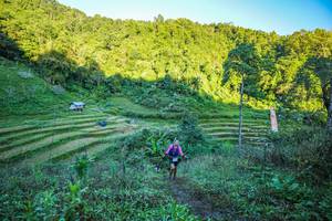 BIB: 
                            <button type="button" onclick="openModal(19347055)" class="btn btn-primary btn-sm float-right btn-popup" data-toggle="modal" data-target=".modal-high-quality">
                        <i class="fas fa-shopping-cart"></i> Add to Cart
                    </button>
                                            <button type="button" onclick="isThisMe(19347055, true)" class="btn btn-success btn-sm float-right btn-popup btn-isme hidden" data-toggle="tooltip" data-placement="bottom" title="นี่คือรูปของคุณใช่ไหม คลิกที่นี่เพื่อเอาเข้าอัลบั้ม">
                        <i class="fas fa-plus"></i> Add to album
                    </button>
                    <button type="button" onclick="isThisMe(19347055, false)" class="btn btn-warning btn-sm float-right btn-popup btn-isnotme hidden">
                        <i class="fas fa-ban"></i> Remove from album
                    </button>