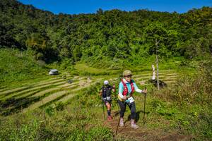 BIB: 
                            <button type="button" onclick="openModal(19344942)" class="btn btn-primary btn-sm float-right btn-popup" data-toggle="modal" data-target=".modal-high-quality">
                        <i class="fas fa-shopping-cart"></i> Add to Cart
                    </button>
                                            <button type="button" onclick="isThisMe(19344942, true)" class="btn btn-success btn-sm float-right btn-popup btn-isme hidden" data-toggle="tooltip" data-placement="bottom" title="นี่คือรูปของคุณใช่ไหม คลิกที่นี่เพื่อเอาเข้าอัลบั้ม">
                        <i class="fas fa-plus"></i> Add to album
                    </button>
                    <button type="button" onclick="isThisMe(19344942, false)" class="btn btn-warning btn-sm float-right btn-popup btn-isnotme hidden">
                        <i class="fas fa-ban"></i> Remove from album
                    </button>