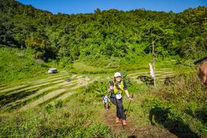 BIB: 
                            <button type="button" onclick="openModal(19352599)" class="btn btn-primary btn-sm float-right btn-popup" data-toggle="modal" data-target=".modal-high-quality">
                        <i class="fas fa-shopping-cart"></i> Add to Cart
                    </button>
                                            <button type="button" onclick="isThisMe(19352599, true)" class="btn btn-success btn-sm float-right btn-popup btn-isme hidden" data-toggle="tooltip" data-placement="bottom" title="นี่คือรูปของคุณใช่ไหม คลิกที่นี่เพื่อเอาเข้าอัลบั้ม">
                        <i class="fas fa-plus"></i> Add to album
                    </button>
                    <button type="button" onclick="isThisMe(19352599, false)" class="btn btn-warning btn-sm float-right btn-popup btn-isnotme hidden">
                        <i class="fas fa-ban"></i> Remove from album
                    </button>