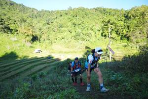 BIB: 
                            <button type="button" onclick="openModal(19074805)" class="btn btn-primary btn-sm float-right btn-popup" data-toggle="modal" data-target=".modal-high-quality">
                        <i class="fas fa-shopping-cart"></i> Add to Cart
                    </button>
                                            <button type="button" onclick="isThisMe(19074805, true)" class="btn btn-success btn-sm float-right btn-popup btn-isme hidden" data-toggle="tooltip" data-placement="bottom" title="นี่คือรูปของคุณใช่ไหม คลิกที่นี่เพื่อเอาเข้าอัลบั้ม">
                        <i class="fas fa-plus"></i> Add to album
                    </button>
                    <button type="button" onclick="isThisMe(19074805, false)" class="btn btn-warning btn-sm float-right btn-popup btn-isnotme hidden">
                        <i class="fas fa-ban"></i> Remove from album
                    </button>