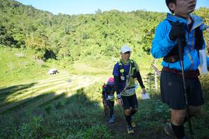 BIB: 
                            <button type="button" onclick="openModal(19084470)" class="btn btn-primary btn-sm float-right btn-popup" data-toggle="modal" data-target=".modal-high-quality">
                        <i class="fas fa-shopping-cart"></i> Add to Cart
                    </button>
                                            <button type="button" onclick="isThisMe(19084470, true)" class="btn btn-success btn-sm float-right btn-popup btn-isme hidden" data-toggle="tooltip" data-placement="bottom" title="นี่คือรูปของคุณใช่ไหม คลิกที่นี่เพื่อเอาเข้าอัลบั้ม">
                        <i class="fas fa-plus"></i> Add to album
                    </button>
                    <button type="button" onclick="isThisMe(19084470, false)" class="btn btn-warning btn-sm float-right btn-popup btn-isnotme hidden">
                        <i class="fas fa-ban"></i> Remove from album
                    </button>