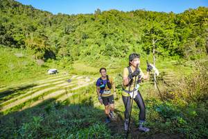 BIB: 
                            <button type="button" onclick="openModal(19349780)" class="btn btn-primary btn-sm float-right btn-popup" data-toggle="modal" data-target=".modal-high-quality">
                        <i class="fas fa-shopping-cart"></i> Add to Cart
                    </button>
                                            <button type="button" onclick="isThisMe(19349780, true)" class="btn btn-success btn-sm float-right btn-popup btn-isme hidden" data-toggle="tooltip" data-placement="bottom" title="นี่คือรูปของคุณใช่ไหม คลิกที่นี่เพื่อเอาเข้าอัลบั้ม">
                        <i class="fas fa-plus"></i> Add to album
                    </button>
                    <button type="button" onclick="isThisMe(19349780, false)" class="btn btn-warning btn-sm float-right btn-popup btn-isnotme hidden">
                        <i class="fas fa-ban"></i> Remove from album
                    </button>