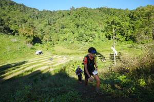 BIB: 
                            <button type="button" onclick="openModal(19087061)" class="btn btn-primary btn-sm float-right btn-popup" data-toggle="modal" data-target=".modal-high-quality">
                        <i class="fas fa-shopping-cart"></i> Add to Cart
                    </button>
                                            <button type="button" onclick="isThisMe(19087061, true)" class="btn btn-success btn-sm float-right btn-popup btn-isme hidden" data-toggle="tooltip" data-placement="bottom" title="นี่คือรูปของคุณใช่ไหม คลิกที่นี่เพื่อเอาเข้าอัลบั้ม">
                        <i class="fas fa-plus"></i> Add to album
                    </button>
                    <button type="button" onclick="isThisMe(19087061, false)" class="btn btn-warning btn-sm float-right btn-popup btn-isnotme hidden">
                        <i class="fas fa-ban"></i> Remove from album
                    </button>