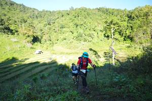 BIB: 
                            <button type="button" onclick="openModal(19079536)" class="btn btn-primary btn-sm float-right btn-popup" data-toggle="modal" data-target=".modal-high-quality">
                        <i class="fas fa-shopping-cart"></i> Add to Cart
                    </button>
                                            <button type="button" onclick="isThisMe(19079536, true)" class="btn btn-success btn-sm float-right btn-popup btn-isme hidden" data-toggle="tooltip" data-placement="bottom" title="นี่คือรูปของคุณใช่ไหม คลิกที่นี่เพื่อเอาเข้าอัลบั้ม">
                        <i class="fas fa-plus"></i> Add to album
                    </button>
                    <button type="button" onclick="isThisMe(19079536, false)" class="btn btn-warning btn-sm float-right btn-popup btn-isnotme hidden">
                        <i class="fas fa-ban"></i> Remove from album
                    </button>