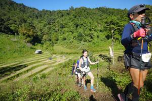 BIB: 328
                            <button type="button" onclick="openModal(19072159)" class="btn btn-primary btn-sm float-right btn-popup" data-toggle="modal" data-target=".modal-high-quality">
                        <i class="fas fa-shopping-cart"></i> Add to Cart
                    </button>
                                            <button type="button" onclick="isThisMe(19072159, true)" class="btn btn-success btn-sm float-right btn-popup btn-isme hidden" data-toggle="tooltip" data-placement="bottom" title="นี่คือรูปของคุณใช่ไหม คลิกที่นี่เพื่อเอาเข้าอัลบั้ม">
                        <i class="fas fa-plus"></i> Add to album
                    </button>
                    <button type="button" onclick="isThisMe(19072159, false)" class="btn btn-warning btn-sm float-right btn-popup btn-isnotme hidden">
                        <i class="fas fa-ban"></i> Remove from album
                    </button>