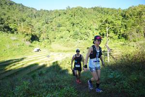 BIB: 
                            <button type="button" onclick="openModal(19084258)" class="btn btn-primary btn-sm float-right btn-popup" data-toggle="modal" data-target=".modal-high-quality">
                        <i class="fas fa-shopping-cart"></i> Add to Cart
                    </button>
                                            <button type="button" onclick="isThisMe(19084258, true)" class="btn btn-success btn-sm float-right btn-popup btn-isme hidden" data-toggle="tooltip" data-placement="bottom" title="นี่คือรูปของคุณใช่ไหม คลิกที่นี่เพื่อเอาเข้าอัลบั้ม">
                        <i class="fas fa-plus"></i> Add to album
                    </button>
                    <button type="button" onclick="isThisMe(19084258, false)" class="btn btn-warning btn-sm float-right btn-popup btn-isnotme hidden">
                        <i class="fas fa-ban"></i> Remove from album
                    </button>