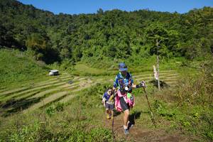 BIB: 
                            <button type="button" onclick="openModal(19099846)" class="btn btn-primary btn-sm float-right btn-popup" data-toggle="modal" data-target=".modal-high-quality">
                        <i class="fas fa-shopping-cart"></i> Add to Cart
                    </button>
                                            <button type="button" onclick="isThisMe(19099846, true)" class="btn btn-success btn-sm float-right btn-popup btn-isme hidden" data-toggle="tooltip" data-placement="bottom" title="นี่คือรูปของคุณใช่ไหม คลิกที่นี่เพื่อเอาเข้าอัลบั้ม">
                        <i class="fas fa-plus"></i> Add to album
                    </button>
                    <button type="button" onclick="isThisMe(19099846, false)" class="btn btn-warning btn-sm float-right btn-popup btn-isnotme hidden">
                        <i class="fas fa-ban"></i> Remove from album
                    </button>