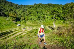 BIB: 
                            <button type="button" onclick="openModal(19351583)" class="btn btn-primary btn-sm float-right btn-popup" data-toggle="modal" data-target=".modal-high-quality">
                        <i class="fas fa-shopping-cart"></i> Add to Cart
                    </button>
                                            <button type="button" onclick="isThisMe(19351583, true)" class="btn btn-success btn-sm float-right btn-popup btn-isme hidden" data-toggle="tooltip" data-placement="bottom" title="นี่คือรูปของคุณใช่ไหม คลิกที่นี่เพื่อเอาเข้าอัลบั้ม">
                        <i class="fas fa-plus"></i> Add to album
                    </button>
                    <button type="button" onclick="isThisMe(19351583, false)" class="btn btn-warning btn-sm float-right btn-popup btn-isnotme hidden">
                        <i class="fas fa-ban"></i> Remove from album
                    </button>