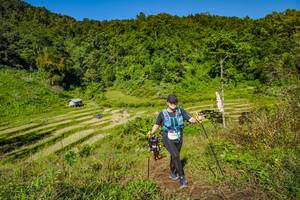 BIB: 
                            <button type="button" onclick="openModal(19352856)" class="btn btn-primary btn-sm float-right btn-popup" data-toggle="modal" data-target=".modal-high-quality">
                        <i class="fas fa-shopping-cart"></i> Add to Cart
                    </button>
                                            <button type="button" onclick="isThisMe(19352856, true)" class="btn btn-success btn-sm float-right btn-popup btn-isme hidden" data-toggle="tooltip" data-placement="bottom" title="นี่คือรูปของคุณใช่ไหม คลิกที่นี่เพื่อเอาเข้าอัลบั้ม">
                        <i class="fas fa-plus"></i> Add to album
                    </button>
                    <button type="button" onclick="isThisMe(19352856, false)" class="btn btn-warning btn-sm float-right btn-popup btn-isnotme hidden">
                        <i class="fas fa-ban"></i> Remove from album
                    </button>