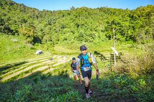 BIB: 
                            <button type="button" onclick="openModal(19349725)" class="btn btn-primary btn-sm float-right btn-popup" data-toggle="modal" data-target=".modal-high-quality">
                        <i class="fas fa-shopping-cart"></i> Add to Cart
                    </button>
                                            <button type="button" onclick="isThisMe(19349725, true)" class="btn btn-success btn-sm float-right btn-popup btn-isme hidden" data-toggle="tooltip" data-placement="bottom" title="นี่คือรูปของคุณใช่ไหม คลิกที่นี่เพื่อเอาเข้าอัลบั้ม">
                        <i class="fas fa-plus"></i> Add to album
                    </button>
                    <button type="button" onclick="isThisMe(19349725, false)" class="btn btn-warning btn-sm float-right btn-popup btn-isnotme hidden">
                        <i class="fas fa-ban"></i> Remove from album
                    </button>