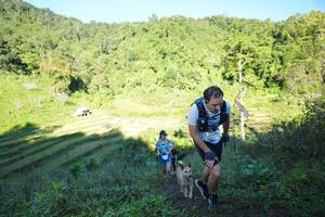 BIB: 
                            <button type="button" onclick="openModal(19079651)" class="btn btn-primary btn-sm float-right btn-popup" data-toggle="modal" data-target=".modal-high-quality">
                        <i class="fas fa-shopping-cart"></i> Add to Cart
                    </button>
                                            <button type="button" onclick="isThisMe(19079651, true)" class="btn btn-success btn-sm float-right btn-popup btn-isme hidden" data-toggle="tooltip" data-placement="bottom" title="นี่คือรูปของคุณใช่ไหม คลิกที่นี่เพื่อเอาเข้าอัลบั้ม">
                        <i class="fas fa-plus"></i> Add to album
                    </button>
                    <button type="button" onclick="isThisMe(19079651, false)" class="btn btn-warning btn-sm float-right btn-popup btn-isnotme hidden">
                        <i class="fas fa-ban"></i> Remove from album
                    </button>