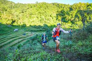 BIB: 
                            <button type="button" onclick="openModal(19347177)" class="btn btn-primary btn-sm float-right btn-popup" data-toggle="modal" data-target=".modal-high-quality">
                        <i class="fas fa-shopping-cart"></i> Add to Cart
                    </button>
                                            <button type="button" onclick="isThisMe(19347177, true)" class="btn btn-success btn-sm float-right btn-popup btn-isme hidden" data-toggle="tooltip" data-placement="bottom" title="นี่คือรูปของคุณใช่ไหม คลิกที่นี่เพื่อเอาเข้าอัลบั้ม">
                        <i class="fas fa-plus"></i> Add to album
                    </button>
                    <button type="button" onclick="isThisMe(19347177, false)" class="btn btn-warning btn-sm float-right btn-popup btn-isnotme hidden">
                        <i class="fas fa-ban"></i> Remove from album
                    </button>