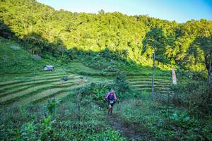 BIB: 
                            <button type="button" onclick="openModal(19347058)" class="btn btn-primary btn-sm float-right btn-popup" data-toggle="modal" data-target=".modal-high-quality">
                        <i class="fas fa-shopping-cart"></i> Add to Cart
                    </button>
                                            <button type="button" onclick="isThisMe(19347058, true)" class="btn btn-success btn-sm float-right btn-popup btn-isme hidden" data-toggle="tooltip" data-placement="bottom" title="นี่คือรูปของคุณใช่ไหม คลิกที่นี่เพื่อเอาเข้าอัลบั้ม">
                        <i class="fas fa-plus"></i> Add to album
                    </button>
                    <button type="button" onclick="isThisMe(19347058, false)" class="btn btn-warning btn-sm float-right btn-popup btn-isnotme hidden">
                        <i class="fas fa-ban"></i> Remove from album
                    </button>