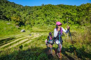 BIB: 
                            <button type="button" onclick="openModal(19350756)" class="btn btn-primary btn-sm float-right btn-popup" data-toggle="modal" data-target=".modal-high-quality">
                        <i class="fas fa-shopping-cart"></i> Add to Cart
                    </button>
                                            <button type="button" onclick="isThisMe(19350756, true)" class="btn btn-success btn-sm float-right btn-popup btn-isme hidden" data-toggle="tooltip" data-placement="bottom" title="นี่คือรูปของคุณใช่ไหม คลิกที่นี่เพื่อเอาเข้าอัลบั้ม">
                        <i class="fas fa-plus"></i> Add to album
                    </button>
                    <button type="button" onclick="isThisMe(19350756, false)" class="btn btn-warning btn-sm float-right btn-popup btn-isnotme hidden">
                        <i class="fas fa-ban"></i> Remove from album
                    </button>