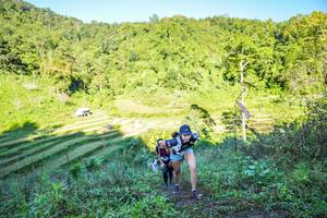 BIB: 
                            <button type="button" onclick="openModal(19348530)" class="btn btn-primary btn-sm float-right btn-popup" data-toggle="modal" data-target=".modal-high-quality">
                        <i class="fas fa-shopping-cart"></i> Add to Cart
                    </button>
                                            <button type="button" onclick="isThisMe(19348530, true)" class="btn btn-success btn-sm float-right btn-popup btn-isme hidden" data-toggle="tooltip" data-placement="bottom" title="นี่คือรูปของคุณใช่ไหม คลิกที่นี่เพื่อเอาเข้าอัลบั้ม">
                        <i class="fas fa-plus"></i> Add to album
                    </button>
                    <button type="button" onclick="isThisMe(19348530, false)" class="btn btn-warning btn-sm float-right btn-popup btn-isnotme hidden">
                        <i class="fas fa-ban"></i> Remove from album
                    </button>