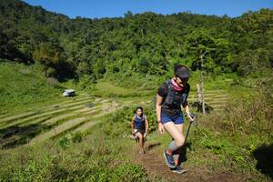 BIB: 
                            <button type="button" onclick="openModal(19095106)" class="btn btn-primary btn-sm float-right btn-popup" data-toggle="modal" data-target=".modal-high-quality">
                        <i class="fas fa-shopping-cart"></i> Add to Cart
                    </button>
                                            <button type="button" onclick="isThisMe(19095106, true)" class="btn btn-success btn-sm float-right btn-popup btn-isme hidden" data-toggle="tooltip" data-placement="bottom" title="นี่คือรูปของคุณใช่ไหม คลิกที่นี่เพื่อเอาเข้าอัลบั้ม">
                        <i class="fas fa-plus"></i> Add to album
                    </button>
                    <button type="button" onclick="isThisMe(19095106, false)" class="btn btn-warning btn-sm float-right btn-popup btn-isnotme hidden">
                        <i class="fas fa-ban"></i> Remove from album
                    </button>